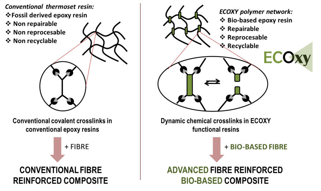 Ecoxy diagram